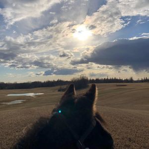 Meet your Posher, Kaylee